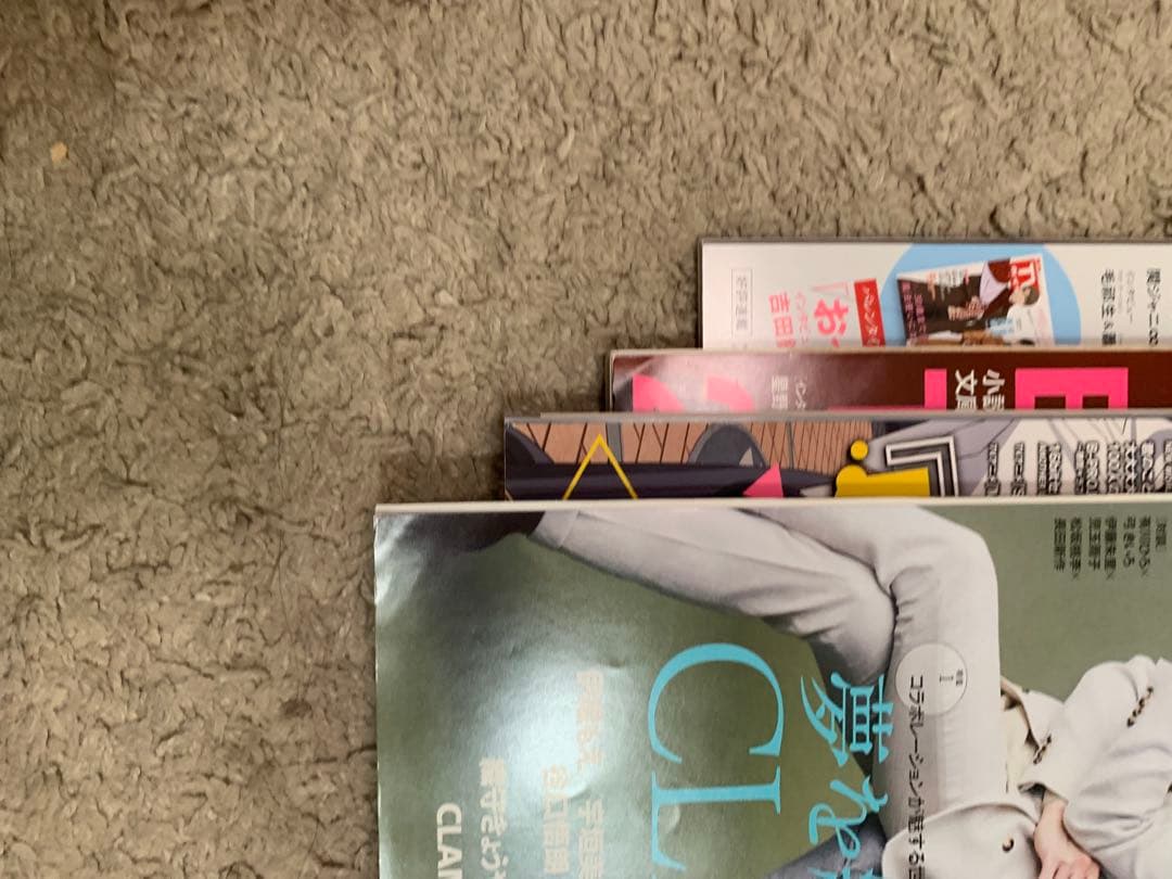 チェリまほ　雑誌　ビジュアルシート