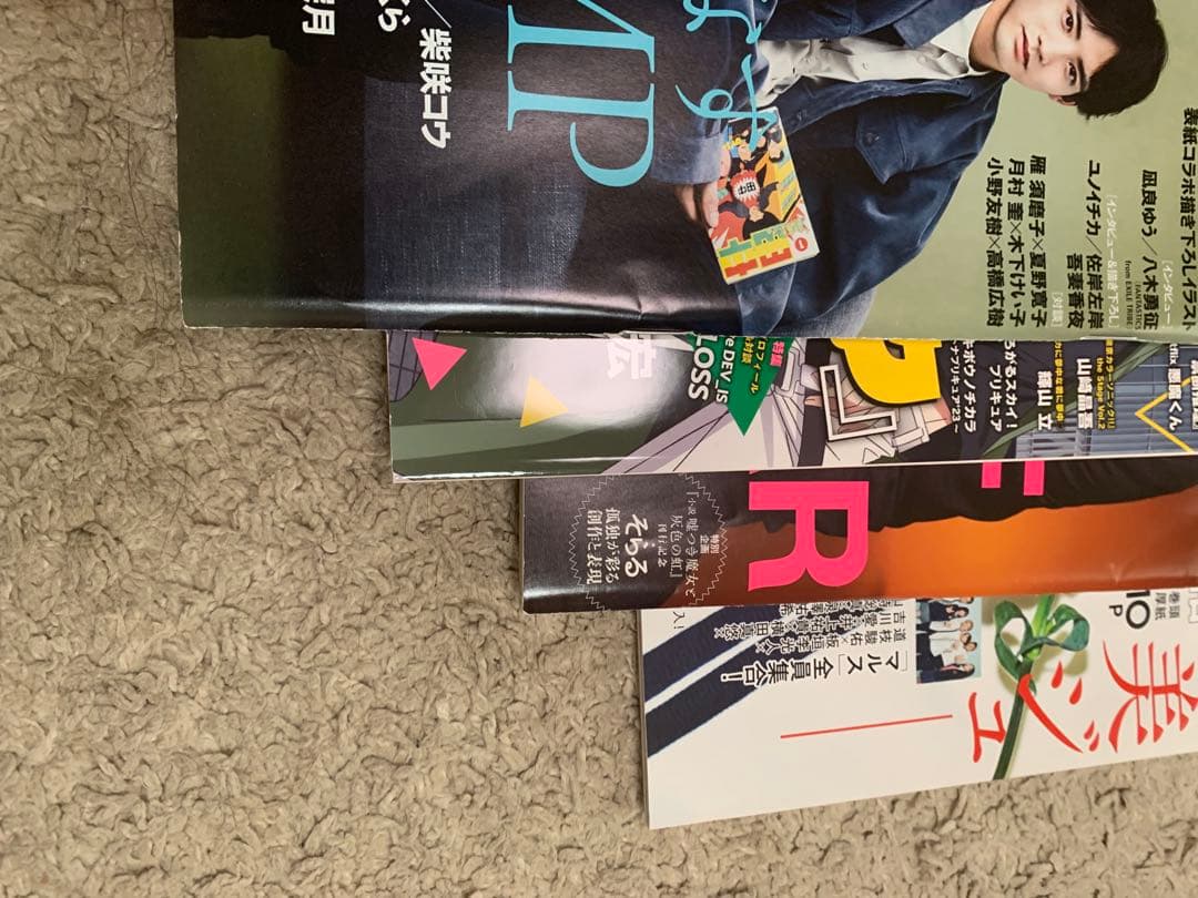 チェリまほ　雑誌　ビジュアルシート