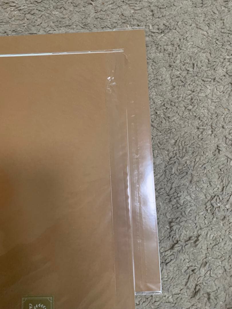 チェリまほ　雑誌　ビジュアルシート