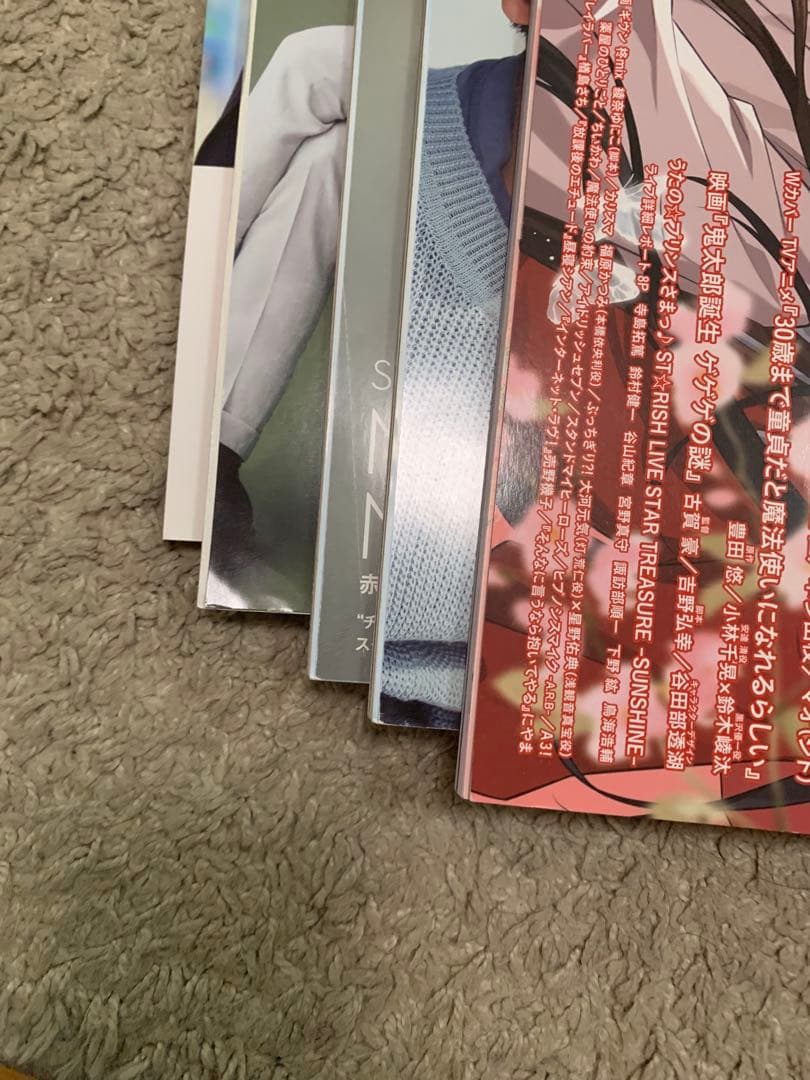 チェリまほ　雑誌　ビジュアルシート