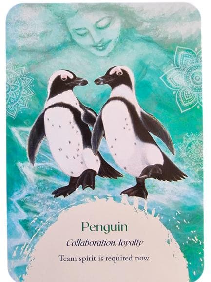 【正規品オラクルカード】希少入手困難品✨美しい鳥たちの予言のオラクル