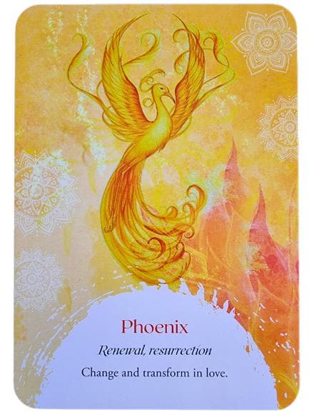 【正規品オラクルカード】希少入手困難品✨美しい鳥たちの予言のオラクル