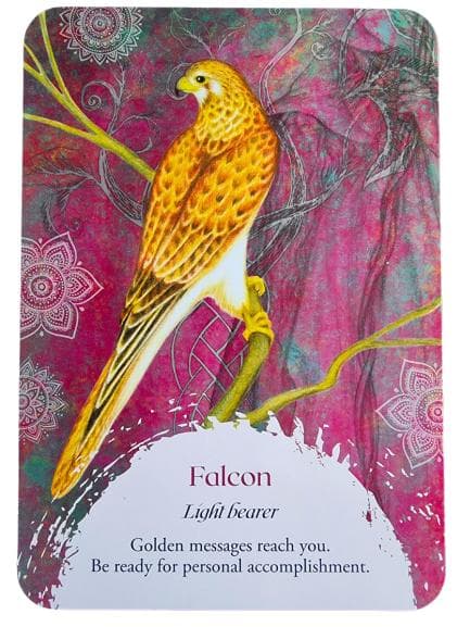 【正規品オラクルカード】希少入手困難品✨美しい鳥たちの予言のオラクル