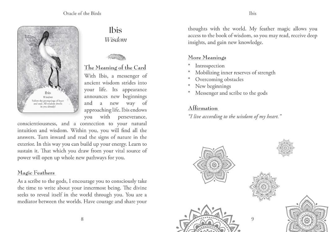 【正規品オラクルカード】希少入手困難品✨美しい鳥たちの予言のオラクル