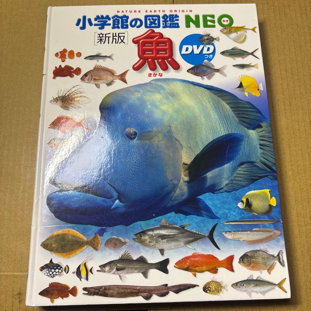 5524YM◎小学館の図鑑NEO 昆虫2、イモムシとケムシなど9冊セット