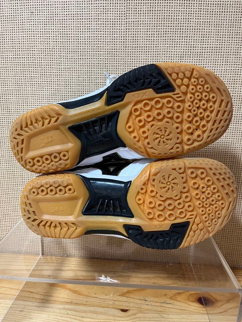 a578/未使用級★ミズノ バドミントンシューズ ウエーブファングXT3/24㎝