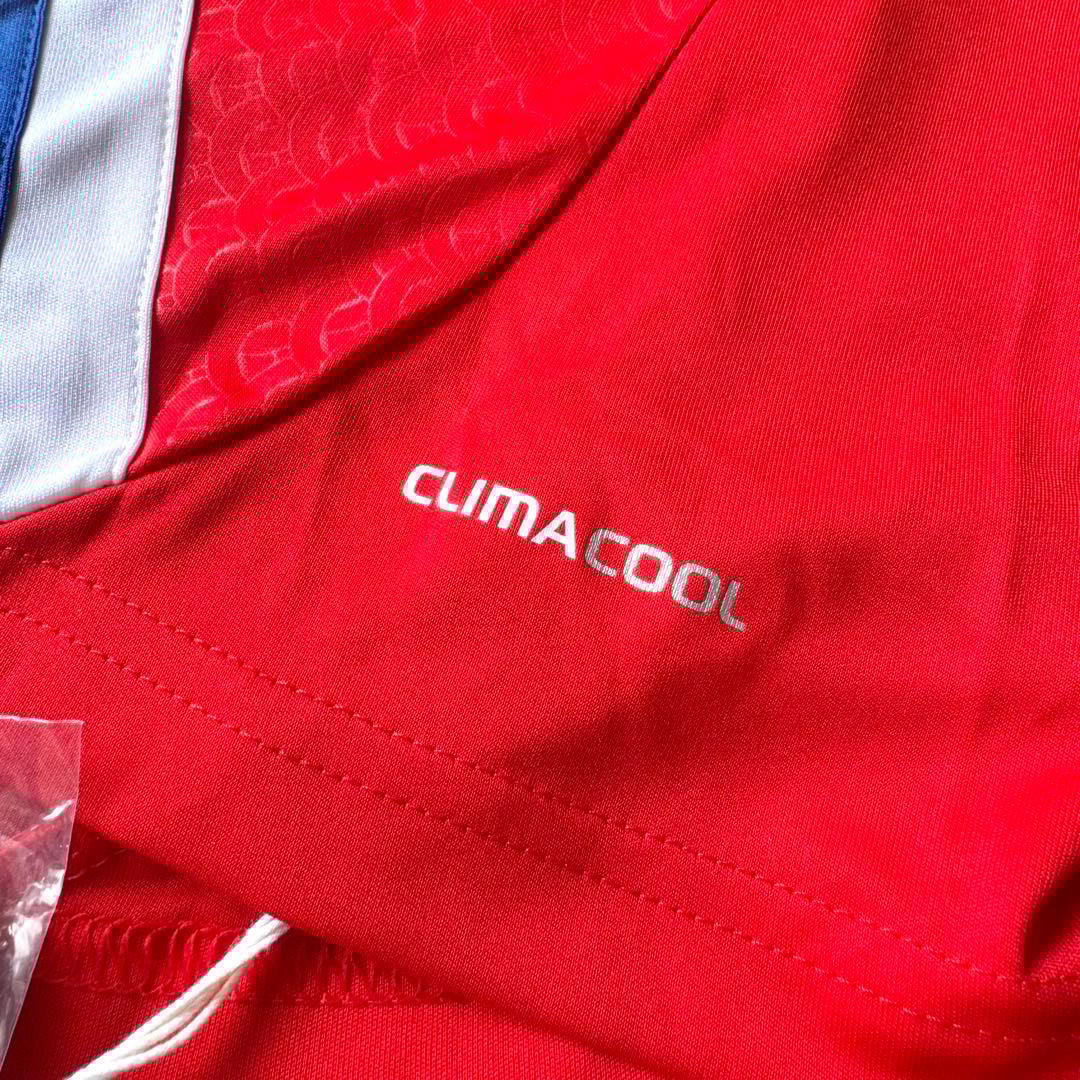 【新品・紙タグ付き】アルシャビン ＃１０ ロシア代表 ２０１２（H）