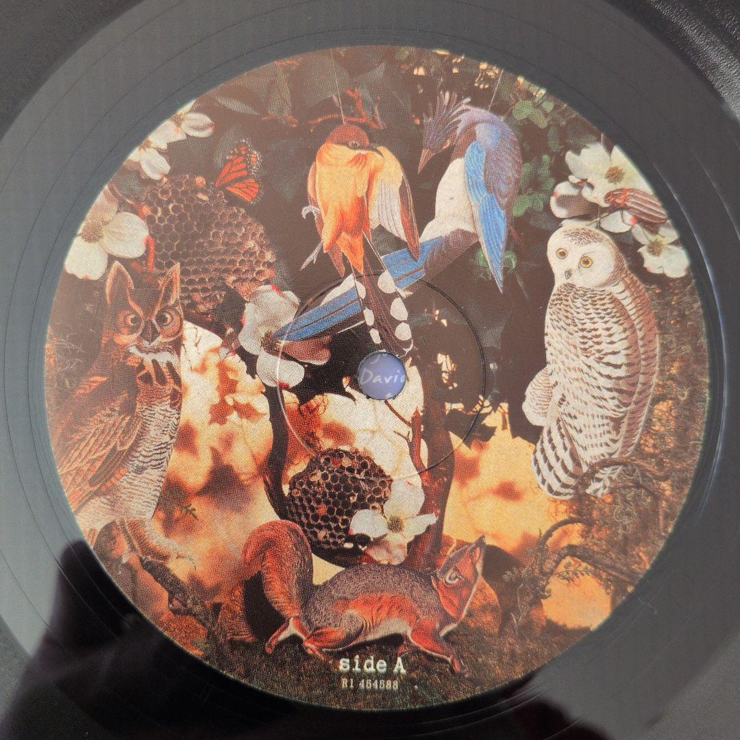 SCARLETT JOHANSSON「Anywhere I Lay My〜」