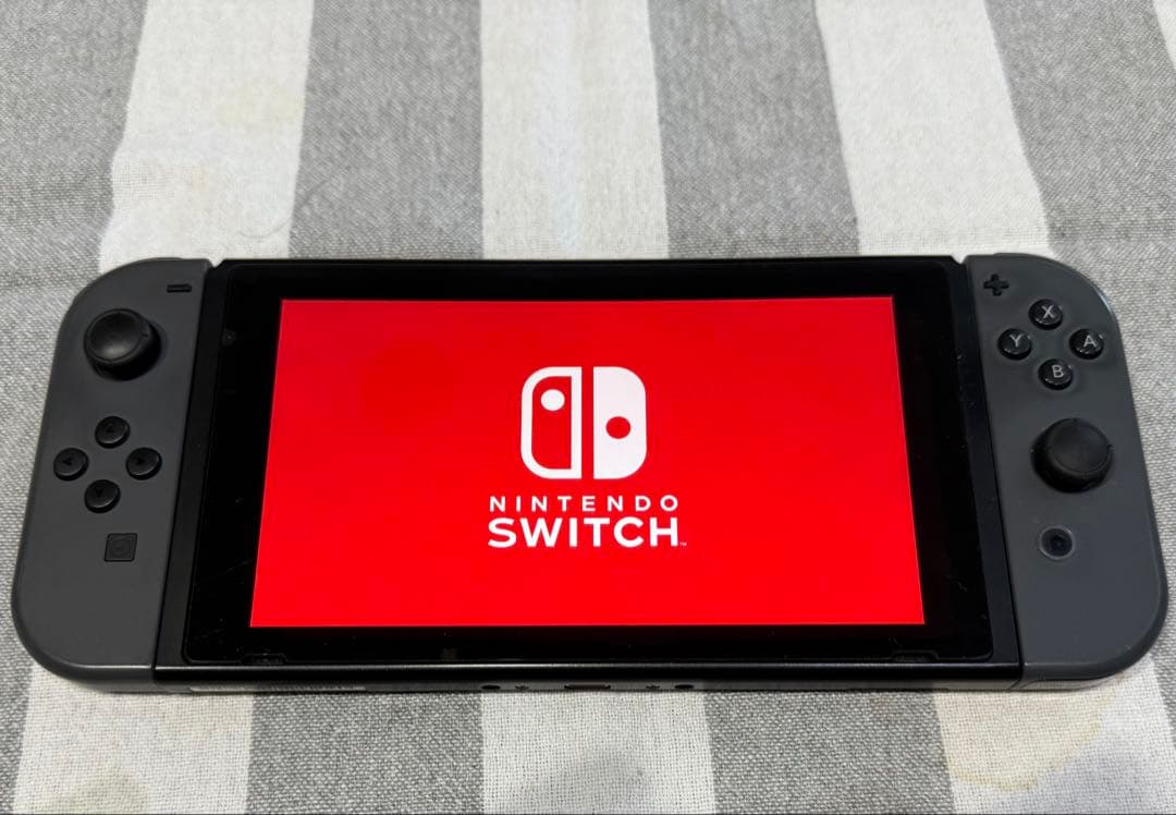 Nintendo Switch 本体 グレー　動作問題なし