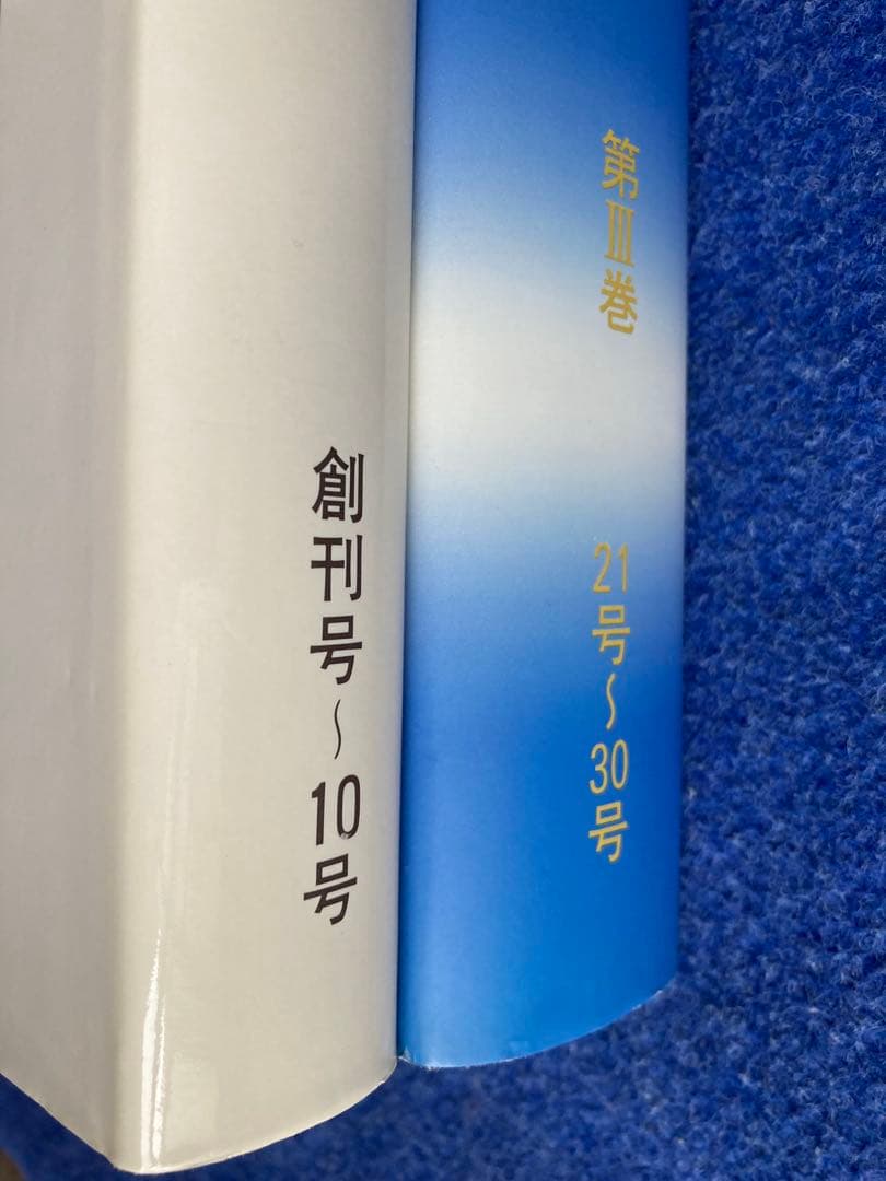 ヨーガ禅　道友　2冊セット