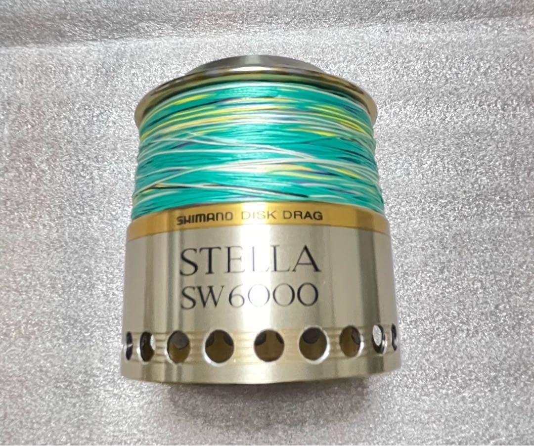 シマノ　ステラ　01　STELLA　SW　6000PG