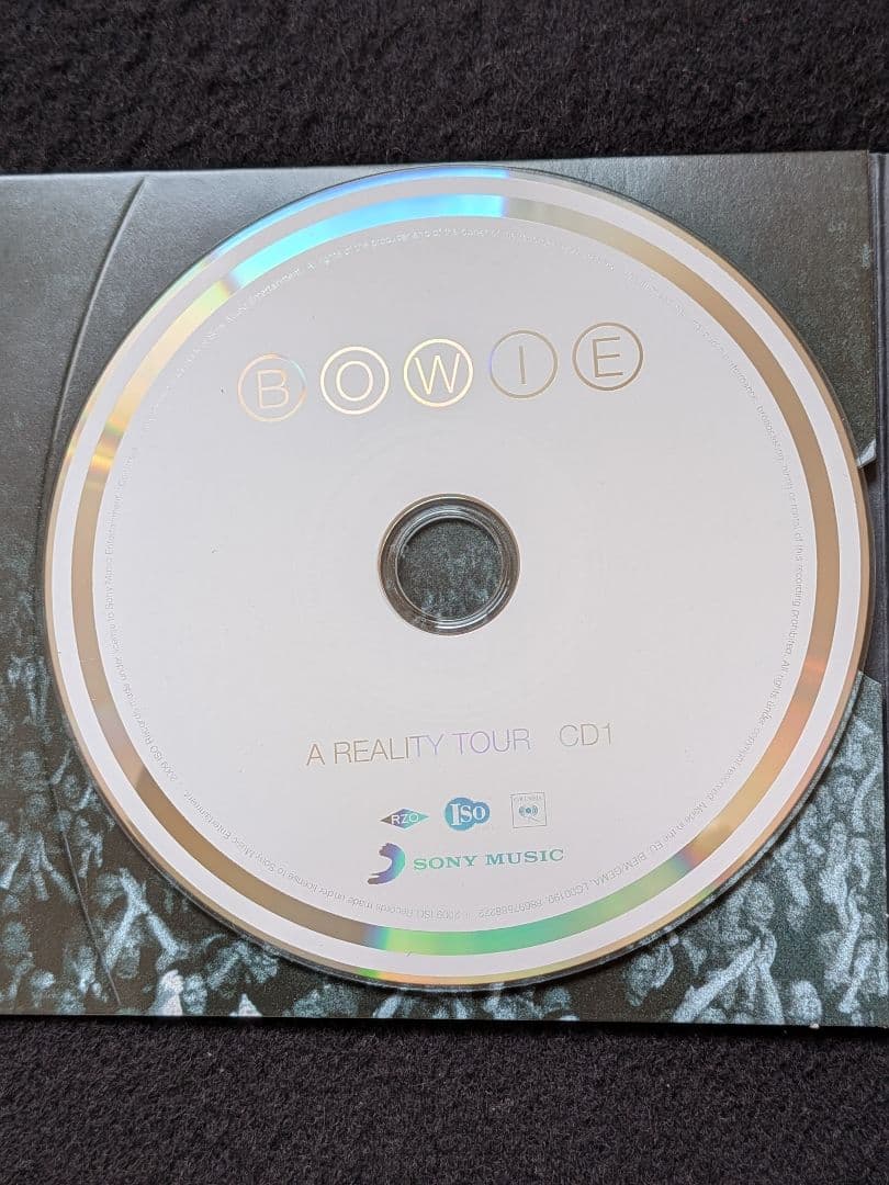 DAVID BOWIE デヴィッド・ボウイ　A REALITY TOUR ツアー