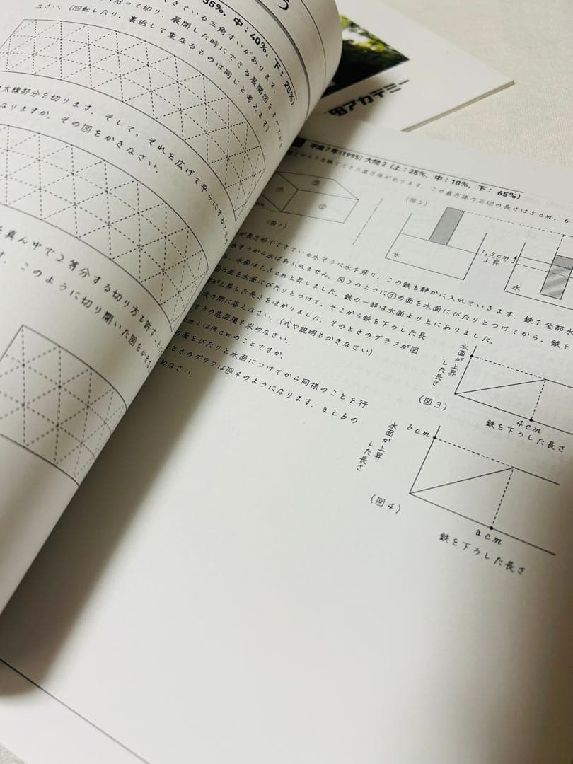 最新版2024年版　早稲田アカデミー　希少　武蔵の算数 128 FINAL30