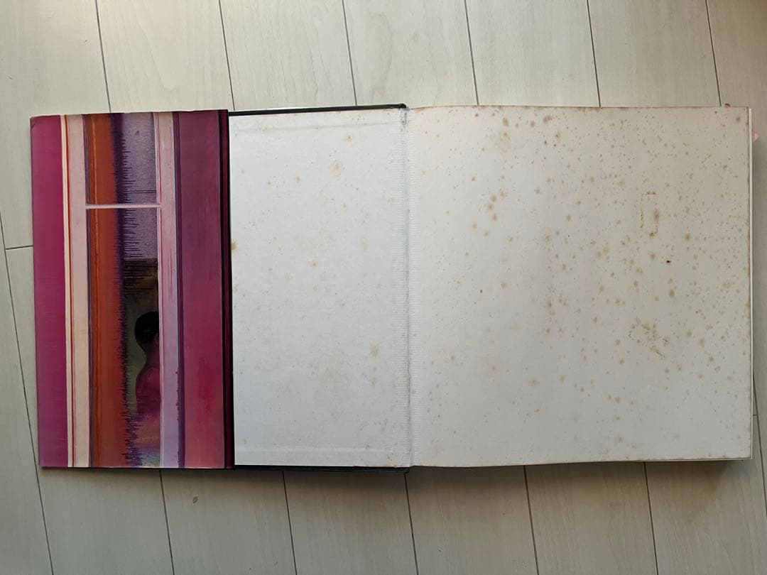 Cremonini 画集 SKIRA刊 1987年 大型美術書　クリモニーニ