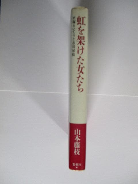 虹を架けた女たち : 平塚らいてうと市川房枝