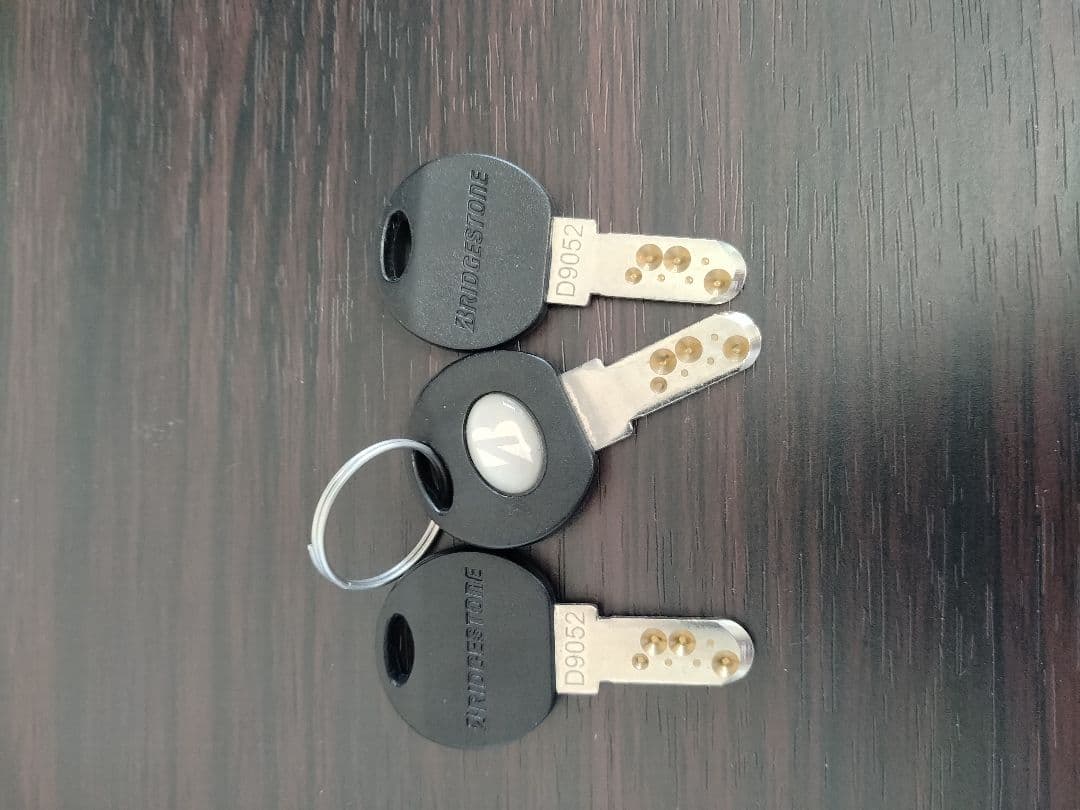 京都限定　ブリヂストン ベガス