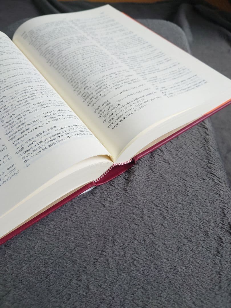 ヒンディー語・日本語辞典