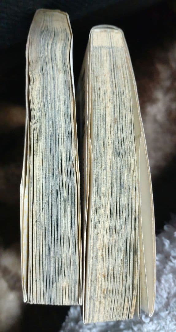 西森博之 全巻セット