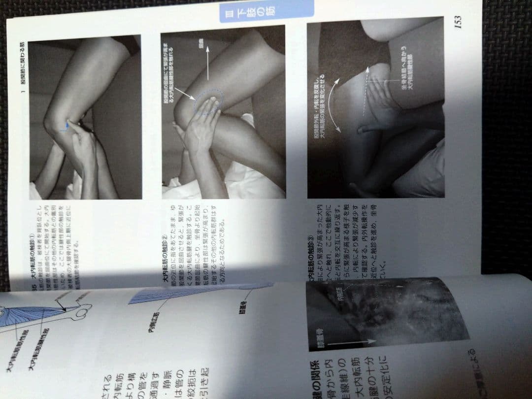 新人　理学療法士　作業療法士　整形外科ナビゲーション　触診技術2冊セット　まとめ