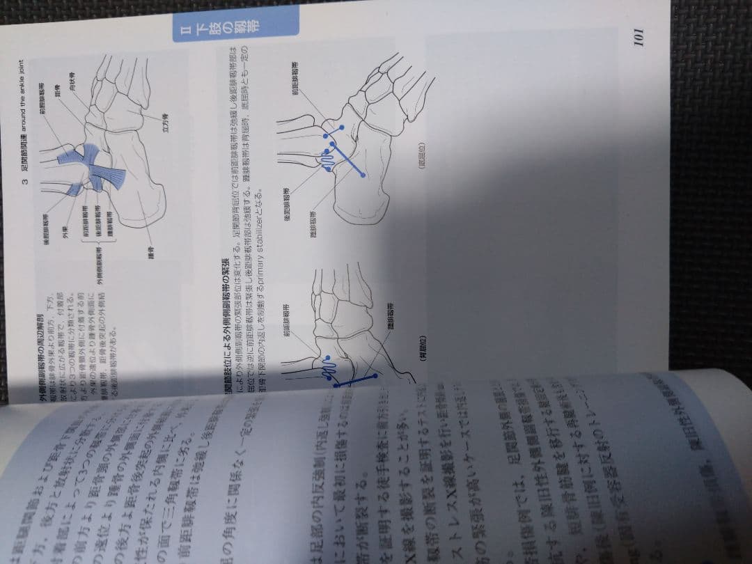 新人　理学療法士　作業療法士　整形外科ナビゲーション　触診技術2冊セット　まとめ