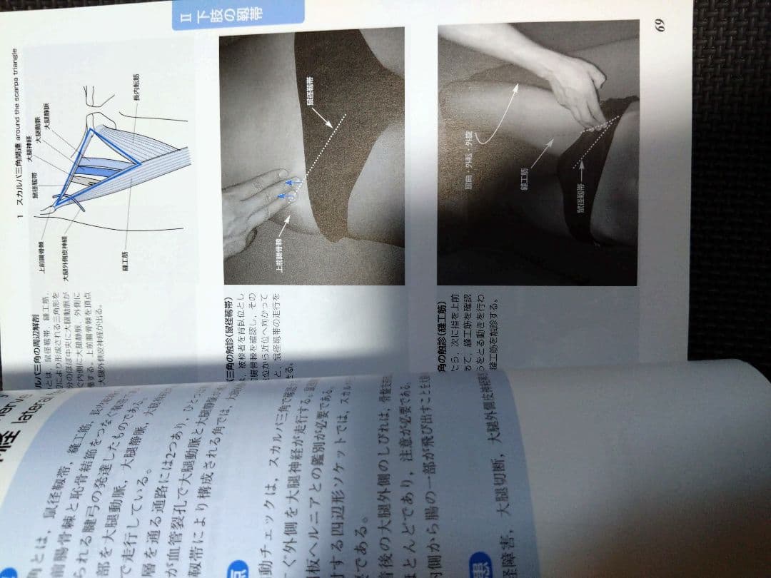 新人　理学療法士　作業療法士　整形外科ナビゲーション　触診技術2冊セット　まとめ