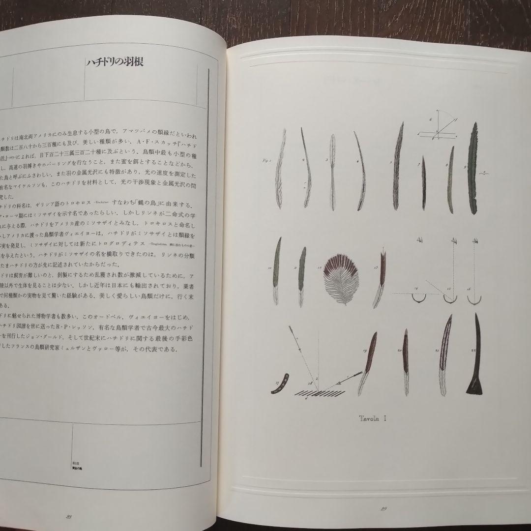 黄金の鳥　荒俣宏　1986 リブロポート