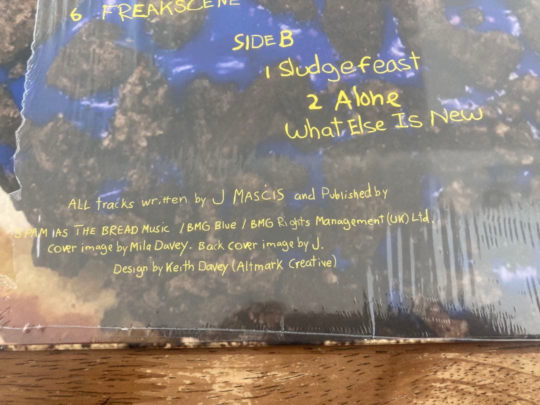 ◾️新品+極美盤２枚まとめて◾️DINOSAUR JR / ダイナソーJR◾️限定ライ