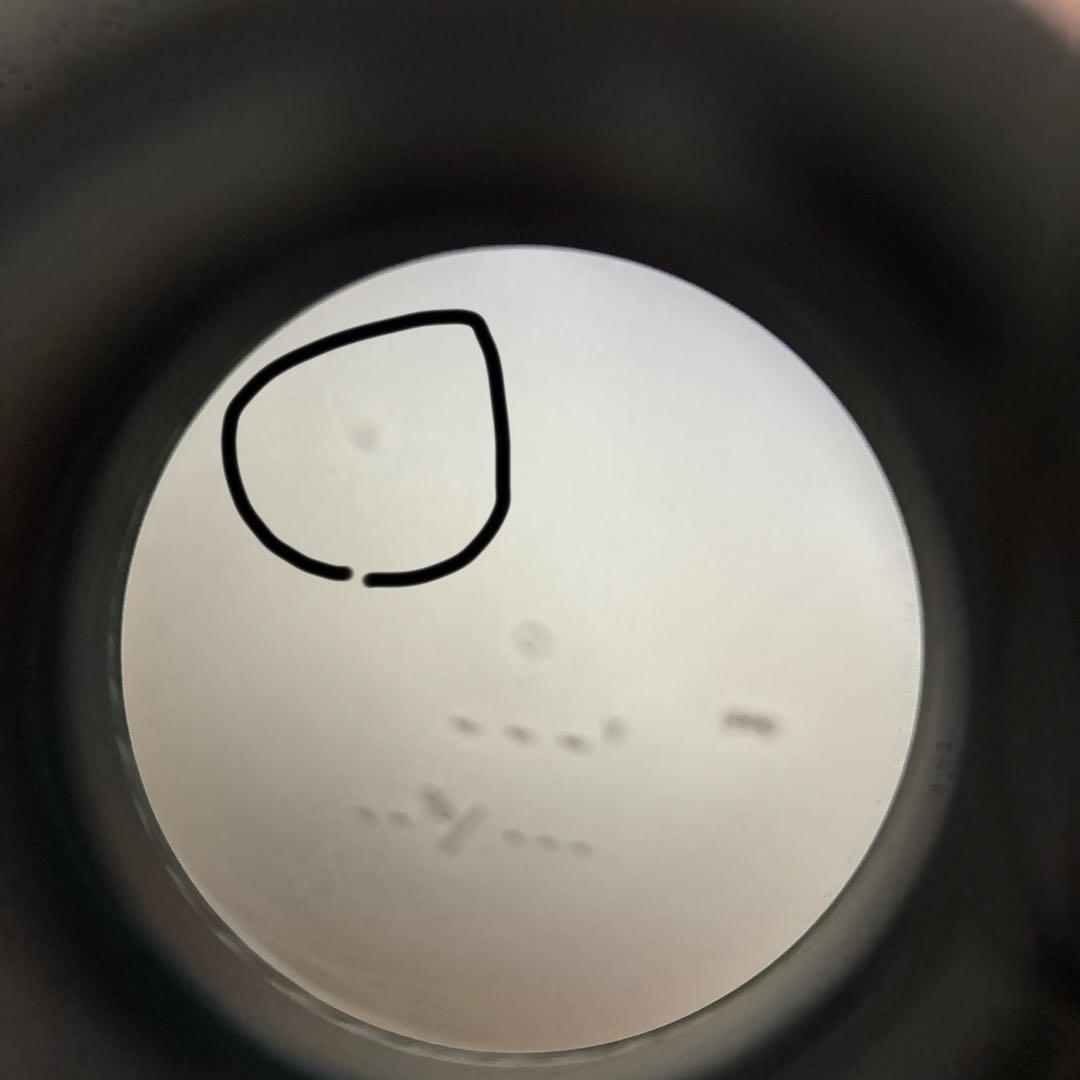 Bushnell ピンシーカーツアーv6シフトジョルト