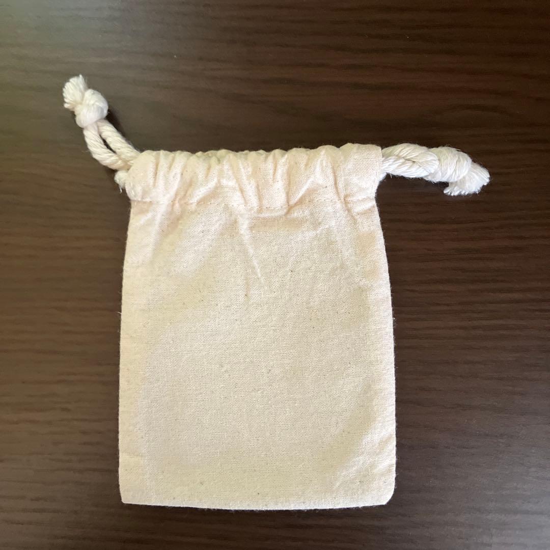 なつき度20 Pokémon GO Plus + （ポケモンGOプラスプラス）