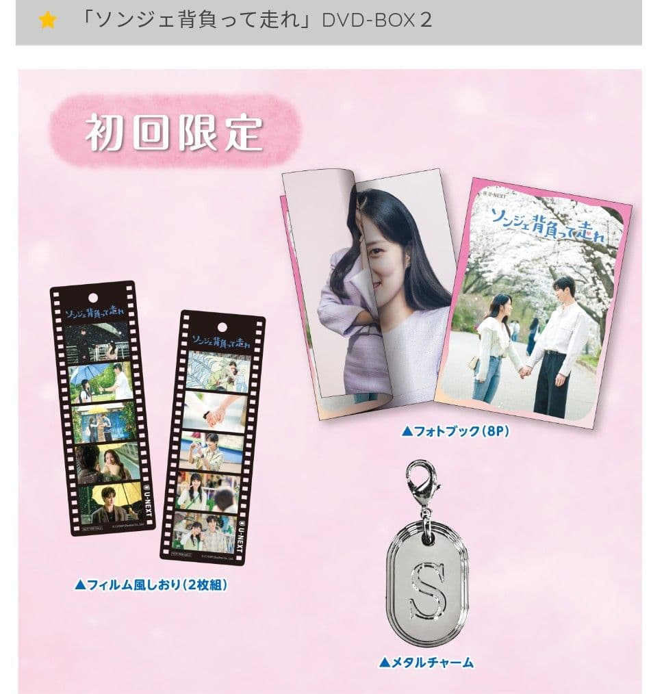 ソンジェ背負って走れ 公式 DVDBOX 1、2 初回限定特典付