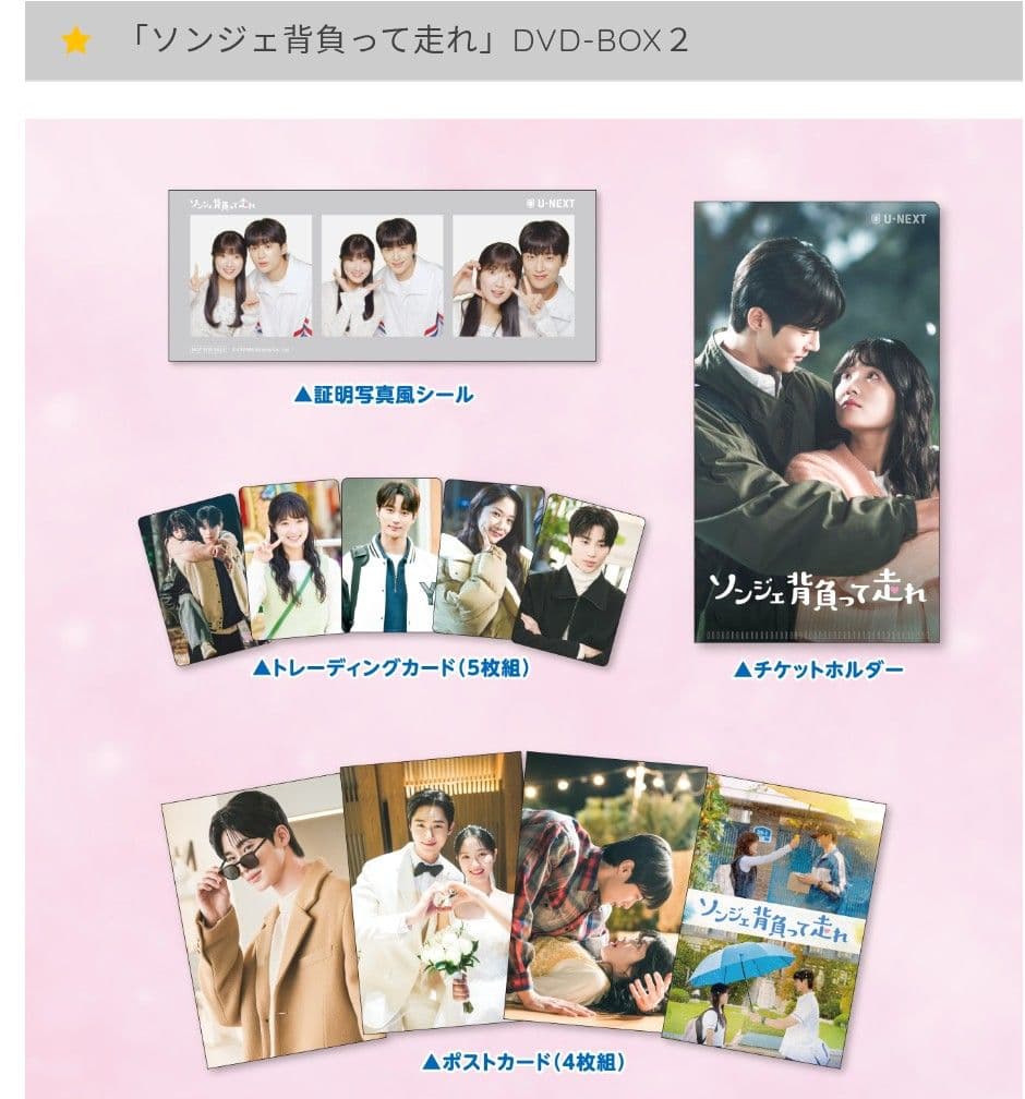 ソンジェ背負って走れ 公式 DVDBOX 1、2 初回限定特典付