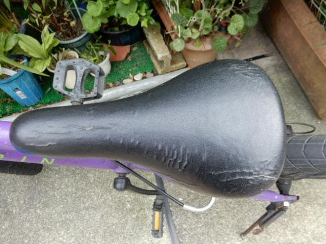 MARINキッズマウンテンバイクDONKY Jr20-パープル6段変速付 子供用