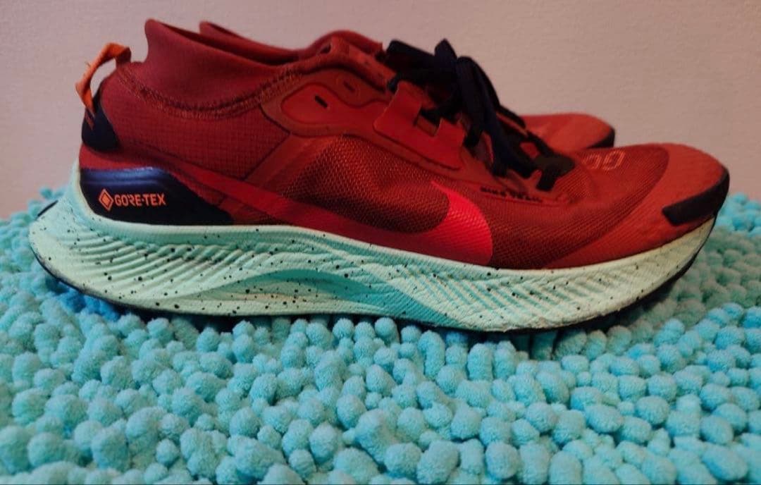 28.0cm ナイキ ペガサストレイル3 ゴアテックス GTX