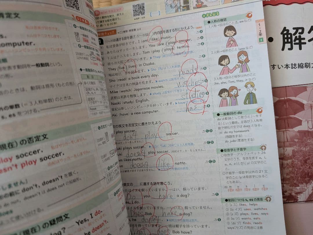 新学社 新研究 中学 改訂新版 5教科セット 定着ノート