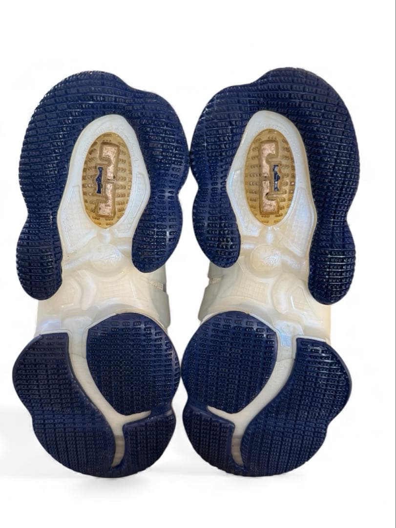 美品 NIKE ナイキ LeBron 19 Space Jam ホワイト 27