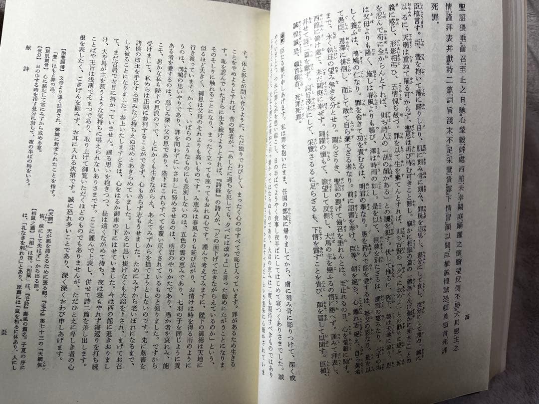 文選　全巻揃い　全釈漢文大系　※新釈漢文大系ではないです