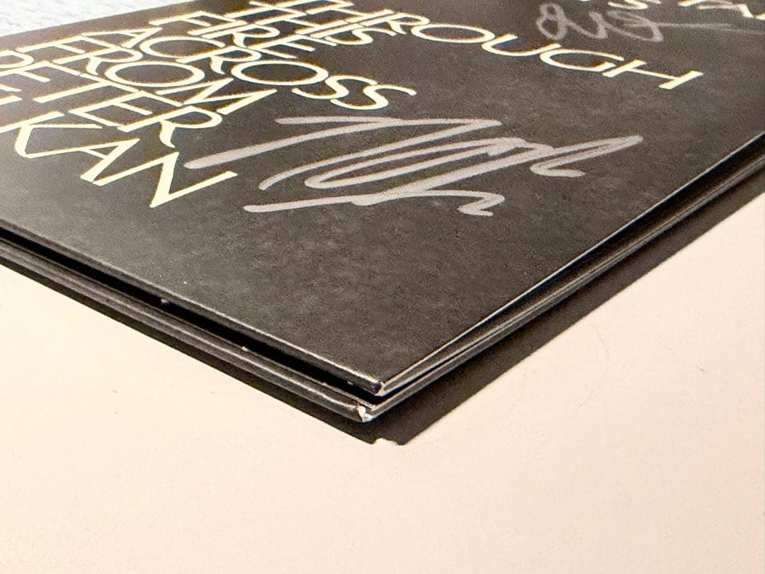 新品未使用 THE MOUNTAIN GOATS 直筆サイン LP