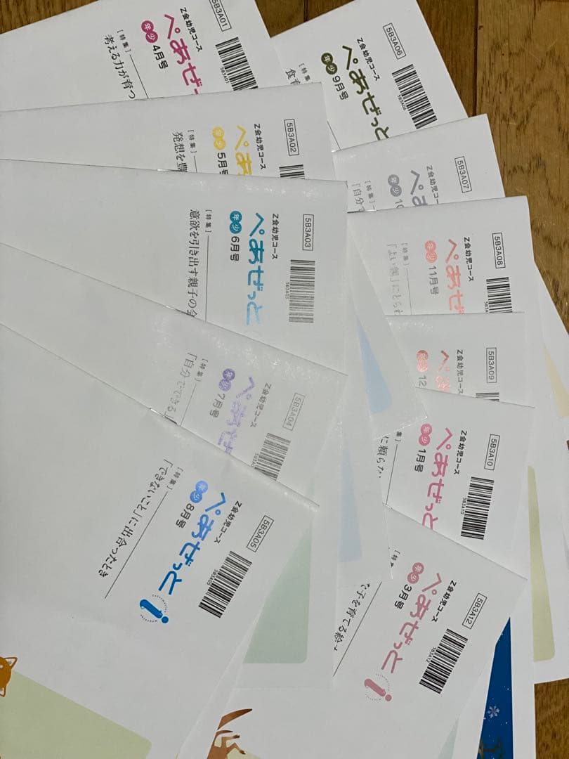 z会　年少　2023〜2024 画像