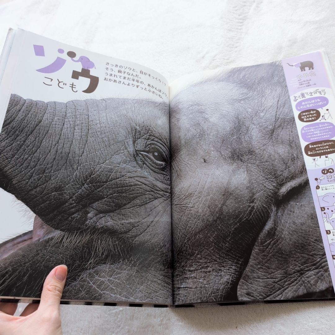 ふ*ん様 くもん推薦図書/乗り物絵本多数　幼児向け中古40冊④(メルカリ出品7/