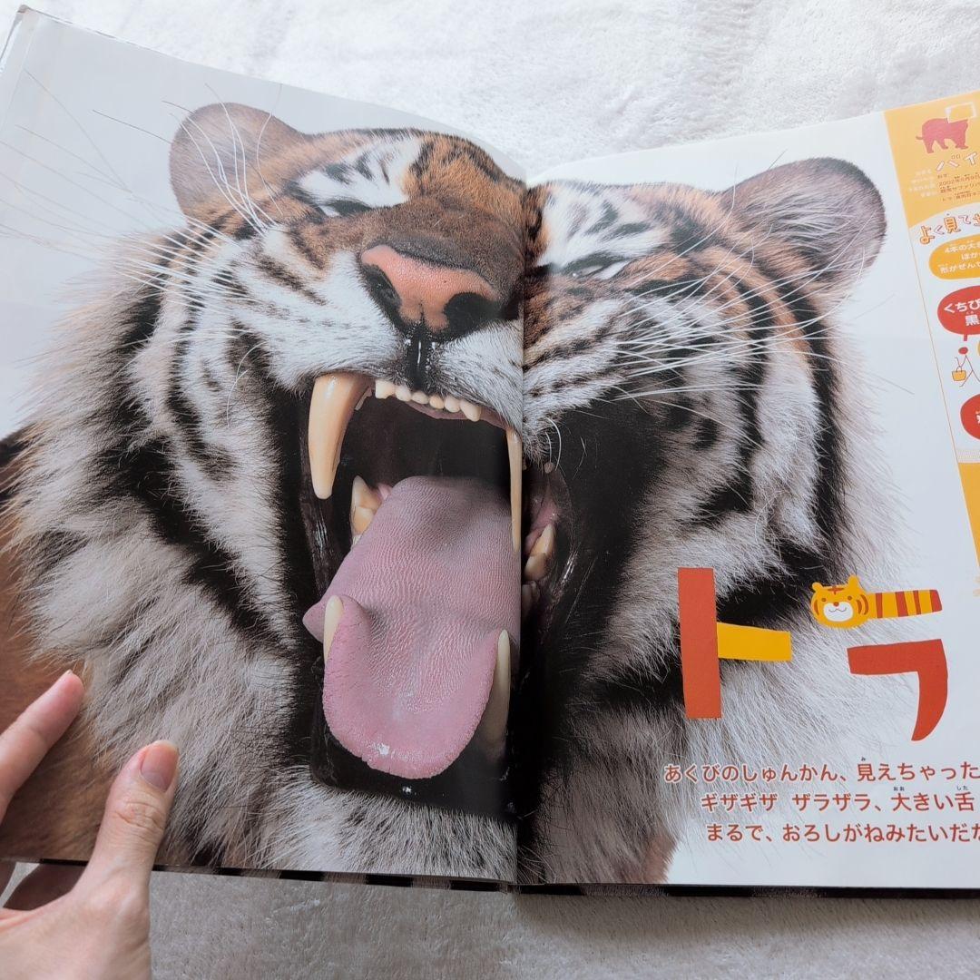 ふ*ん様 くもん推薦図書/乗り物絵本多数　幼児向け中古40冊④(メルカリ出品7/