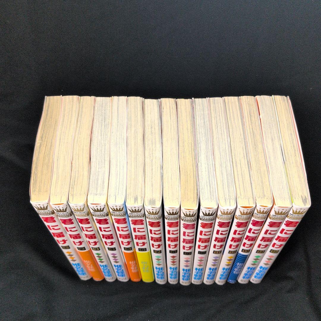 君に届け 1-30巻 全巻セット ファンブック 番外編 運命の人 初版限定特典