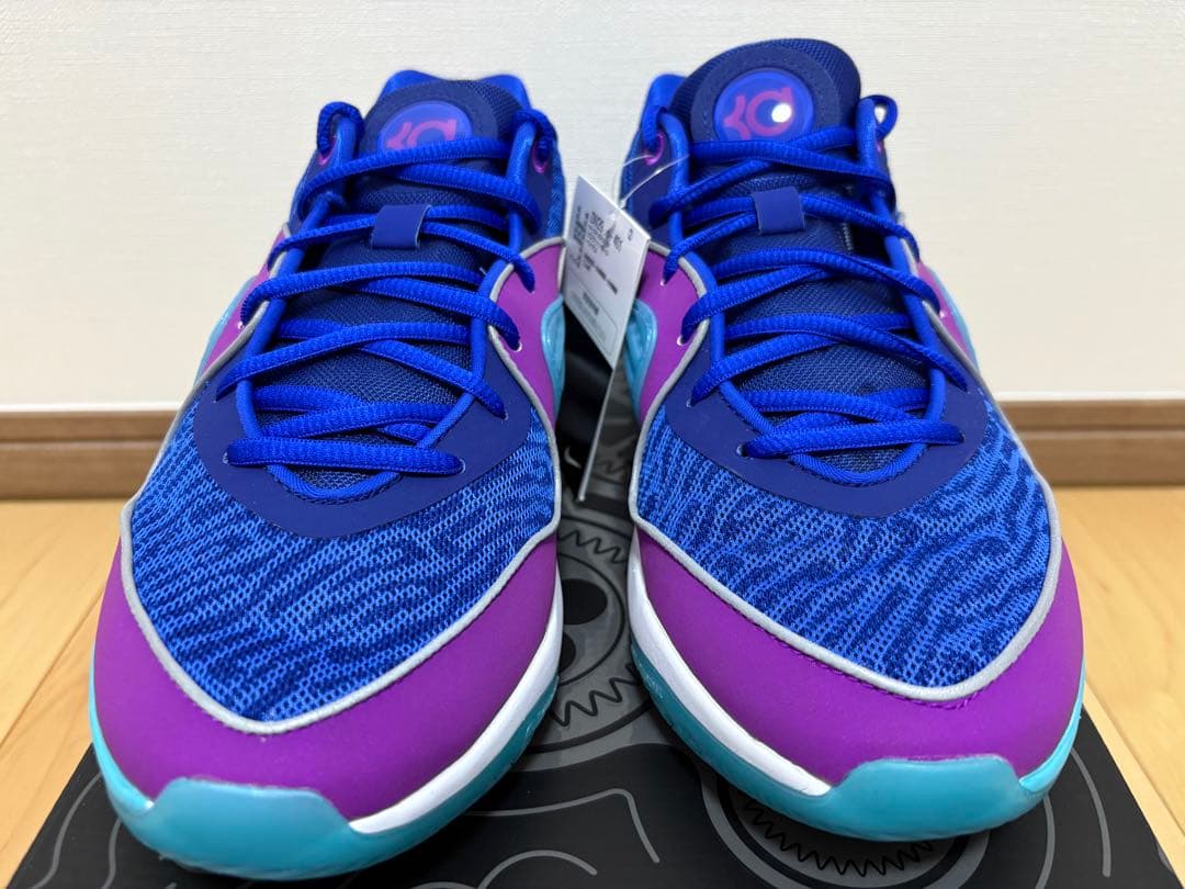 シューズ(男性用) KD16 EP DV2916-401 27.0