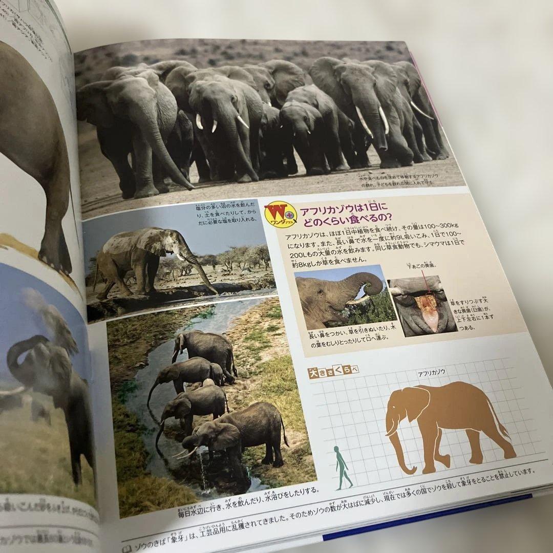 よのなかの図鑑　げんきの図鑑　せいかつの図鑑　小学館の子ども図鑑　プレ　neo