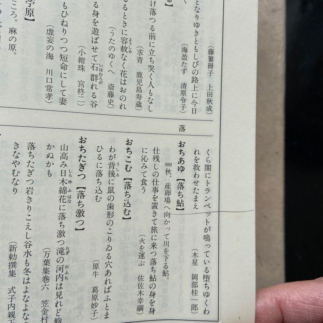 日本歌語事典 佐佐木幸綱 杉山康彦 林巨樹 編