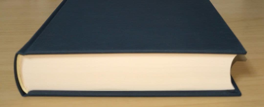 憲法理論 1　第三版