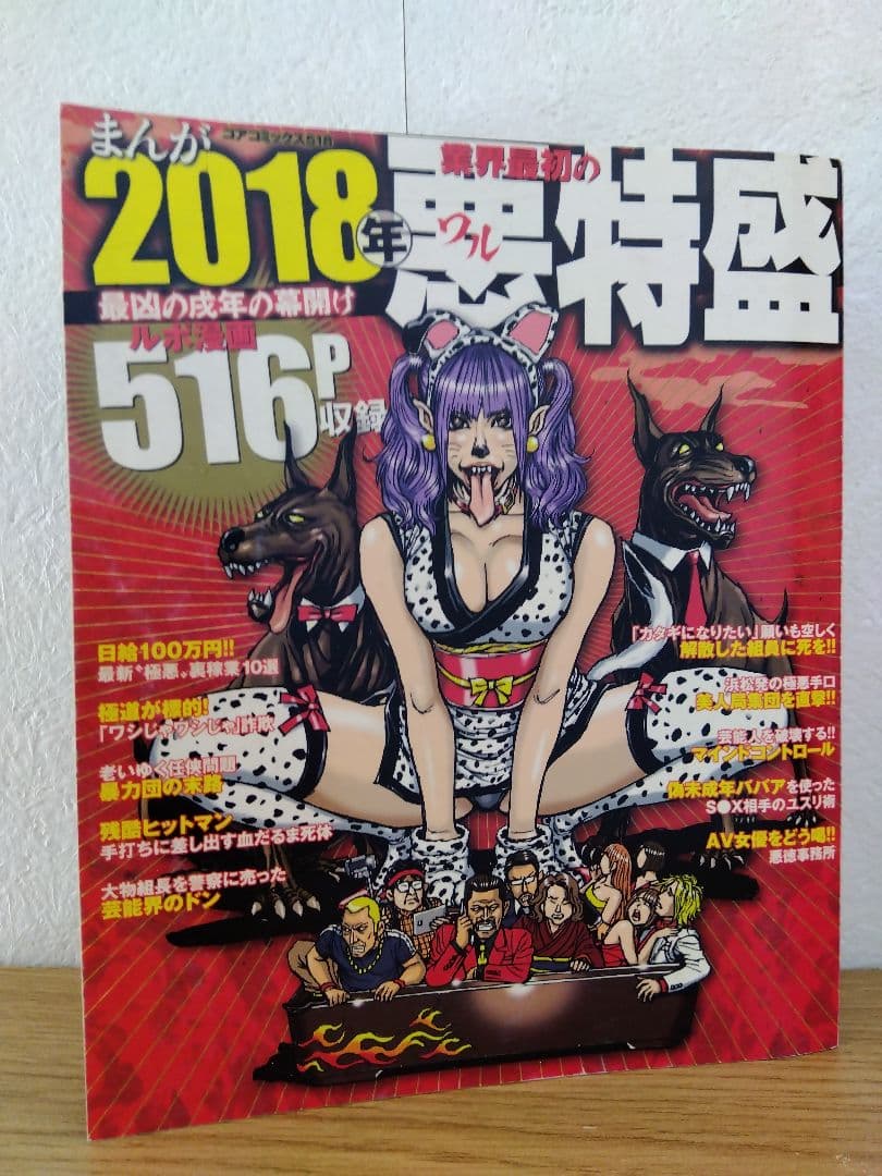 コアマガジン8冊セット　貧しい日本