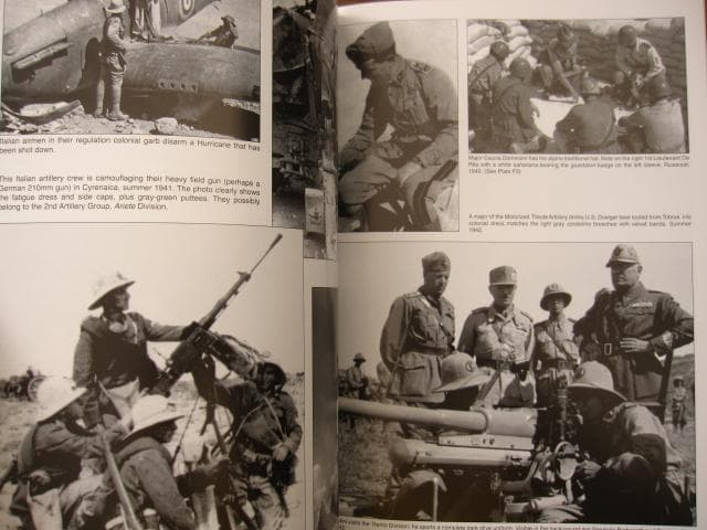 洋書 Axis Forces in North Africa 1940-43