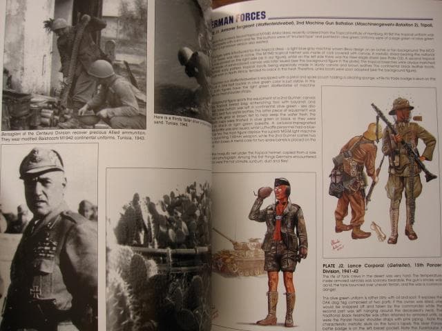 洋書 Axis Forces in North Africa 1940-43