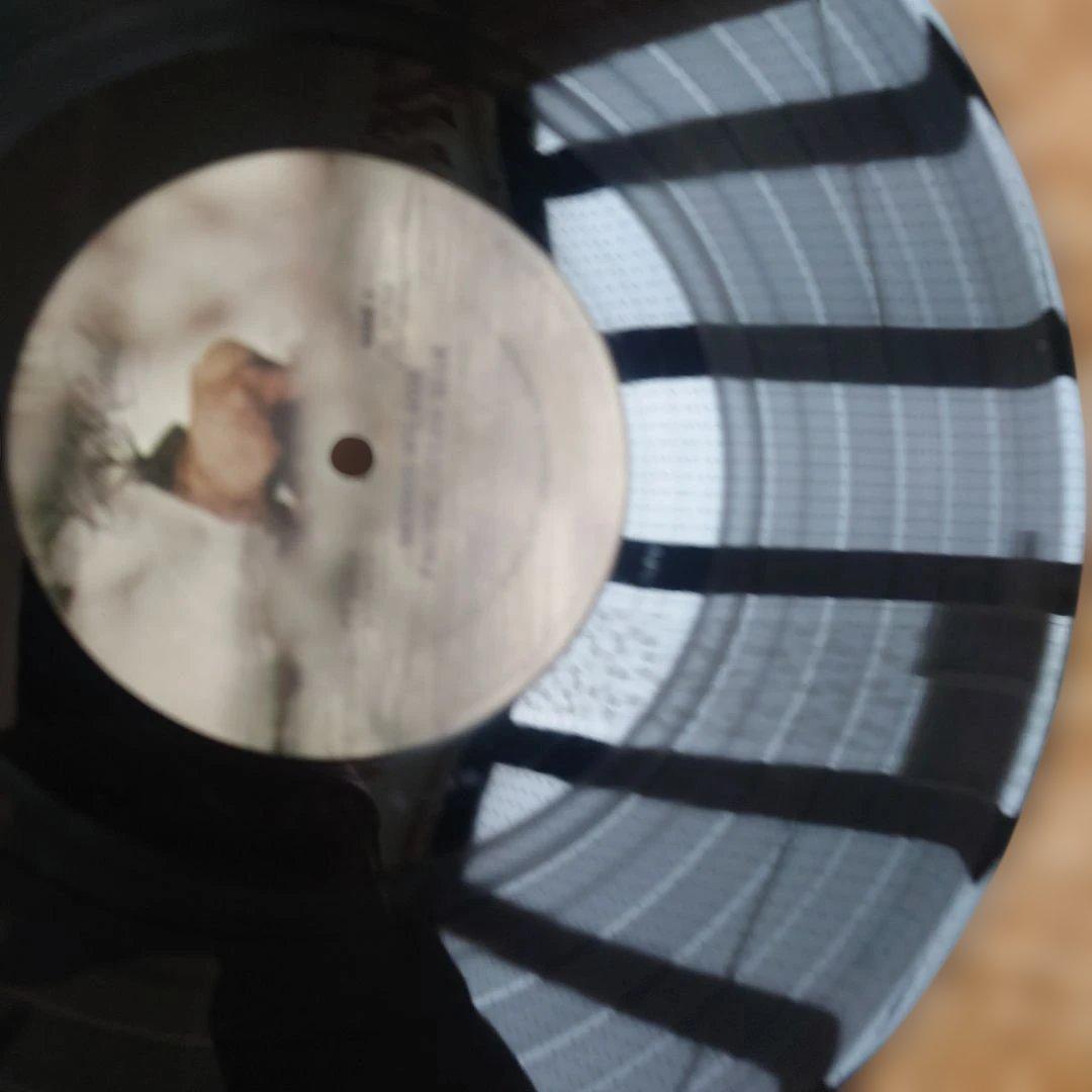 US初回プロモ盤DENNIS WILSON PACIFIC OCEAN BLUE