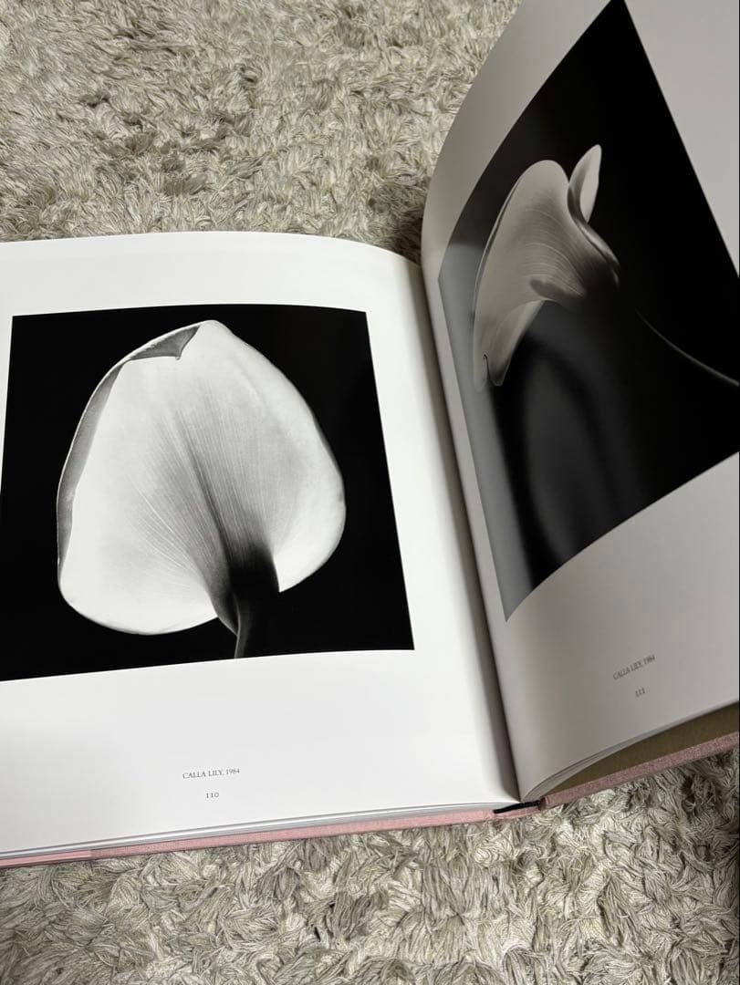 【希少】Pistils Robert Mapplethorpe 写真集